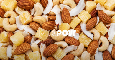 Fruits secs Mixpow riches en fibres pour nourrir le microbiote intestinal