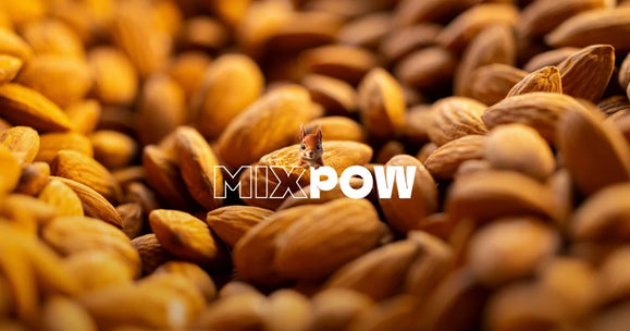 Amandes en gros plan sous une lumière dorée, avant trempage pour réduire les phytates