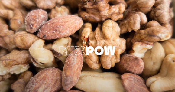 Fruits secs musculation — amandes noix de cajou graines de courge collation sportif récupération Mixpow