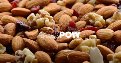 Guide complet fruits secs — amandes noix cajou pistaches noisettes bienfaits nutrition Mixpow