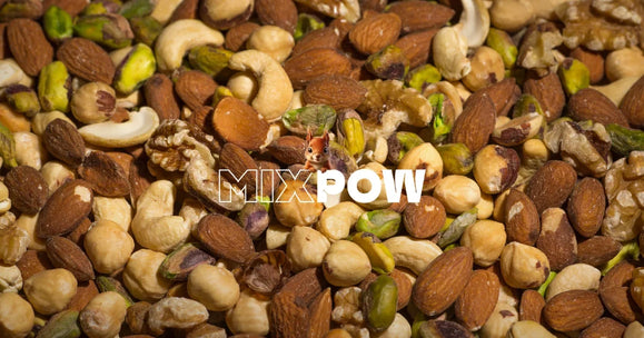 Mélange de noix variées : amandes, noisettes, noix de cajou, pistaches et cerneaux de noix