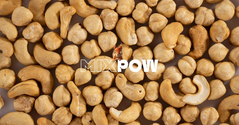 Noix de cajou dans une canette Mixpow 30 g, encas sain et nutritif
