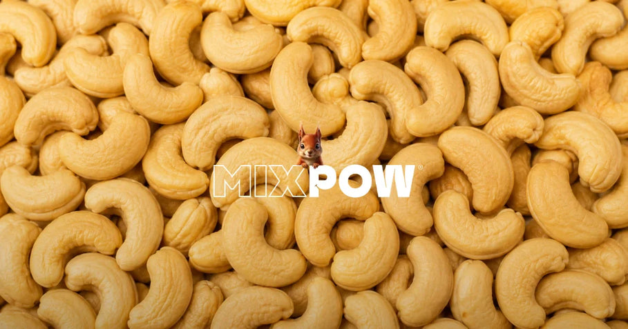 Noix de cajou Mixpow — encas sportif pratique en canette nomade pour avant et après l'effort