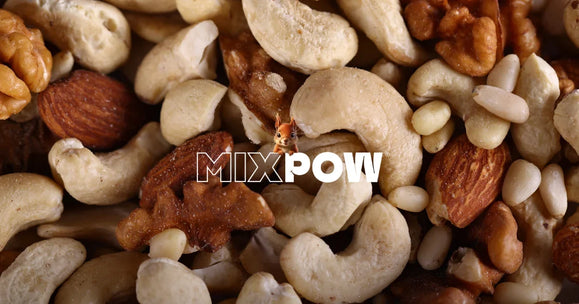 Noix de cajou, pignons de pin et amandes — zinc et sélénium avant de concevoir