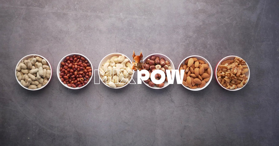 Assortiment de fruits secs biologiques vus de dessus