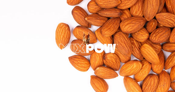 Fruits secs sur fond blanc pour régime cétogène — amandes et noix