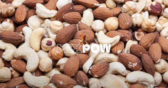 Mélange Mixpow amandes noisettes et noix de cajou natures pour régime paléo