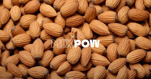 Amandes entières en gros plan — source de protéines végétales face aux protéines animales