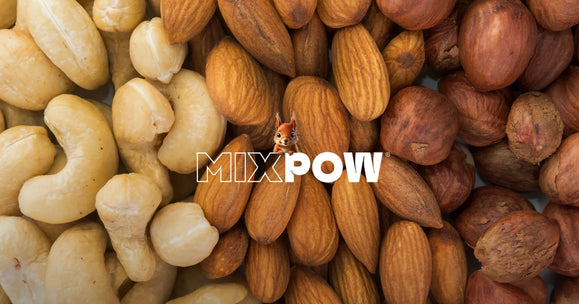 Bannière fruits secs variés — noix de cajou, amandes et noisettes tendance snacks sains 2025 Mixpow
