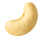 Noix de cajou crue vue de profil — oléagineux nature riche en bonnes graisses protéines