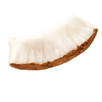 Tranche de noix de coco vue de profil — ingrédient Plaisir Gourmand Mixpow snack exotique