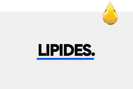 Le guide complet des lipides.