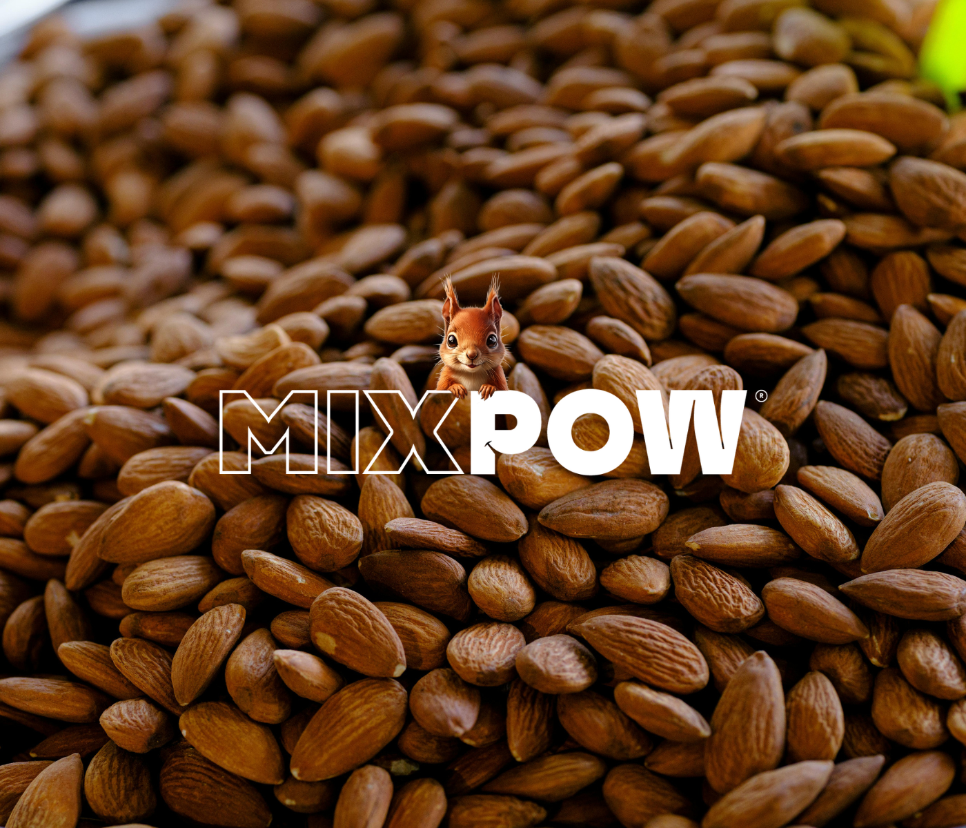 Collations saines pour la journée : comment bien choisir ses encas pour rester en forme